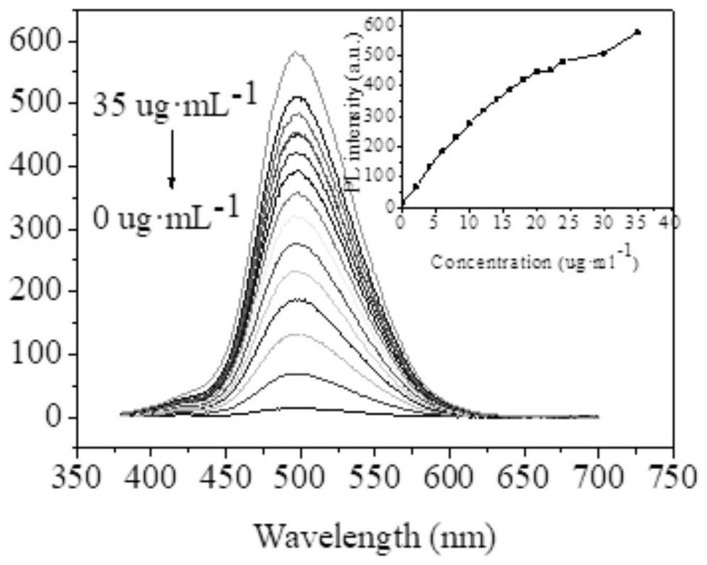 A kind of green fluorescent quantum dot and its preparation method and copper ion detection application