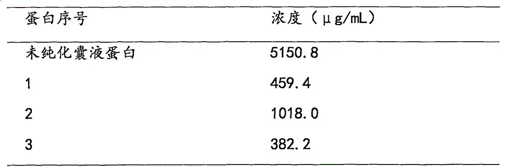 Method for separation, purification and immunogenicity detection of cysticercosis pisiformis cyst fluid protein