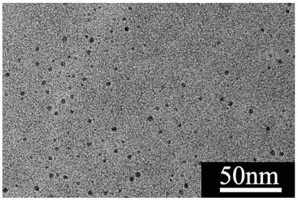 Carbon quantum dot and green preparation method and application thereof