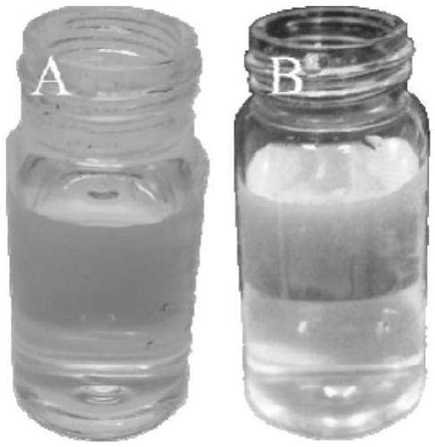 Carbon quantum dot and green preparation method and application thereof