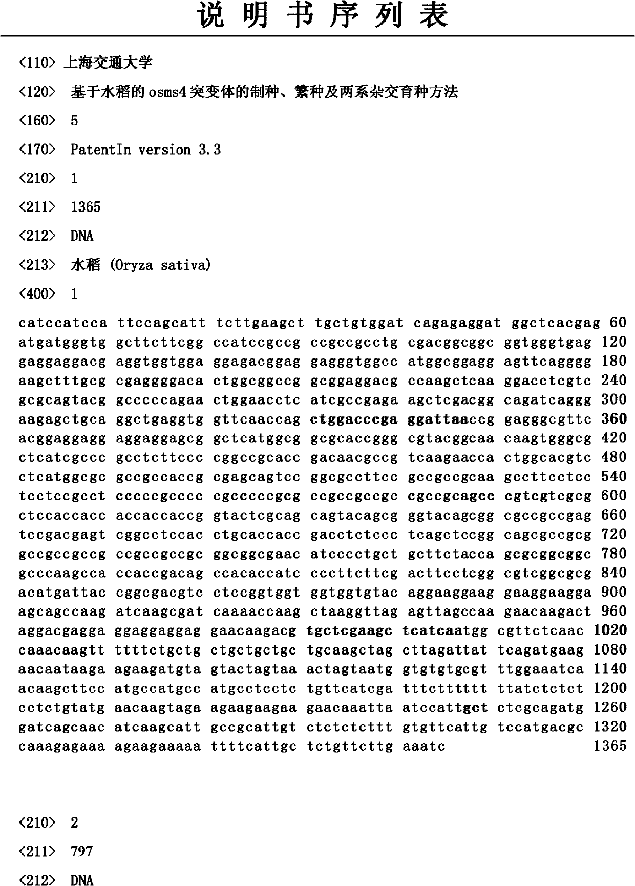 Rice osms4 mutant-based seed production, seed reproduction and two-line hybrid breeding methods