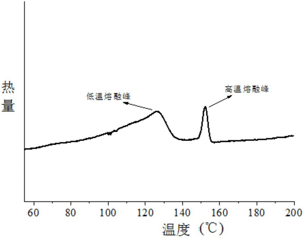 Easily-molded polypropylene foaming bead and preparation method thereof