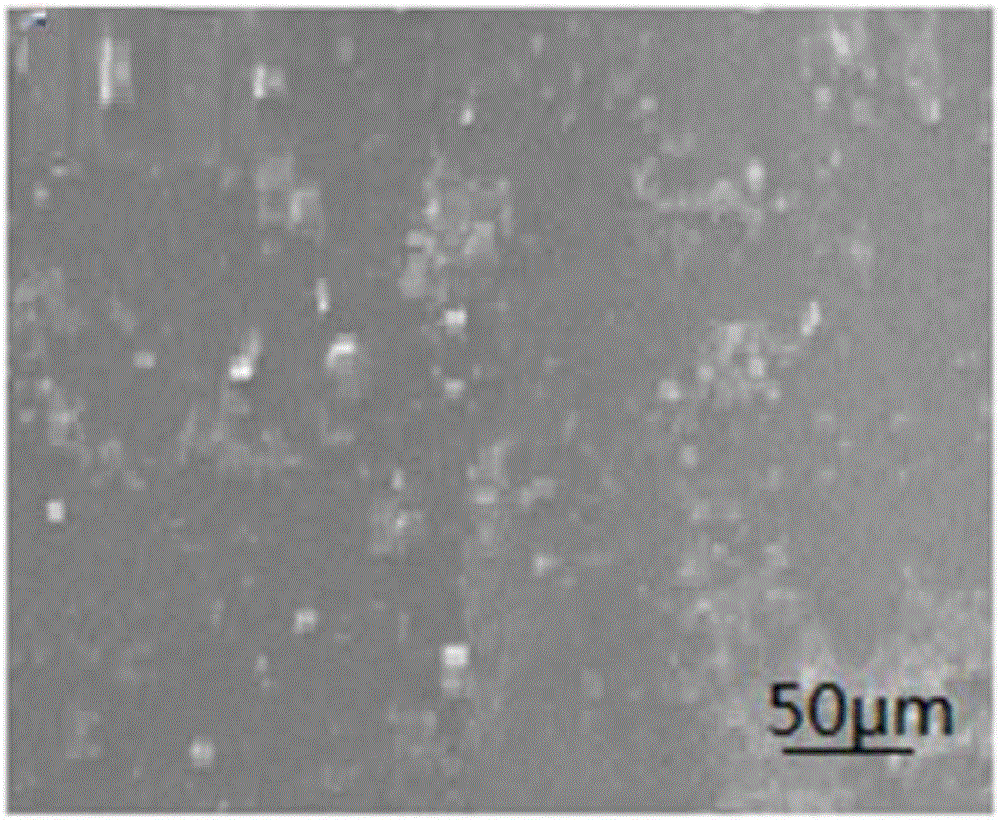 Easily-molded polypropylene foaming bead and preparation method thereof