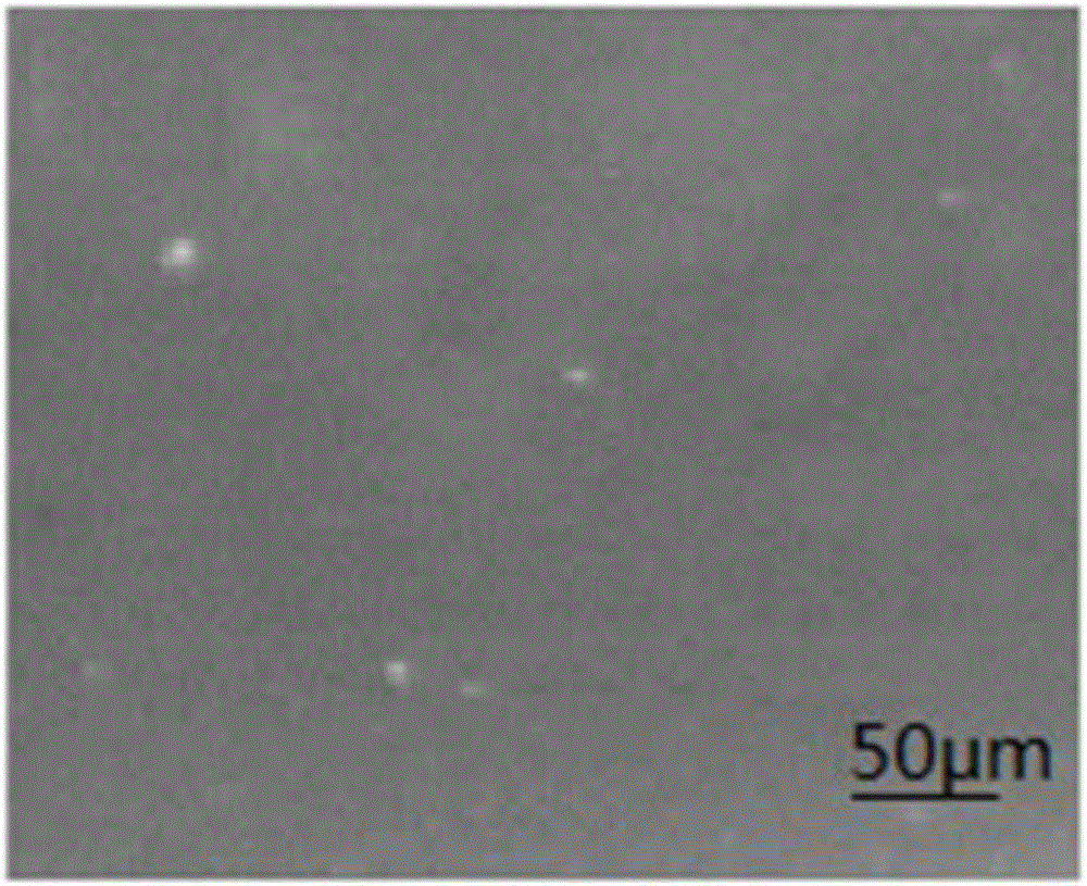 Easily-molded polypropylene foaming bead and preparation method thereof