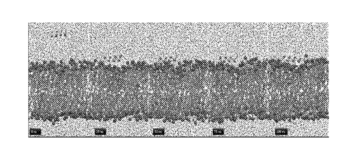 Novel Synthetic Antimicrobial Peptides