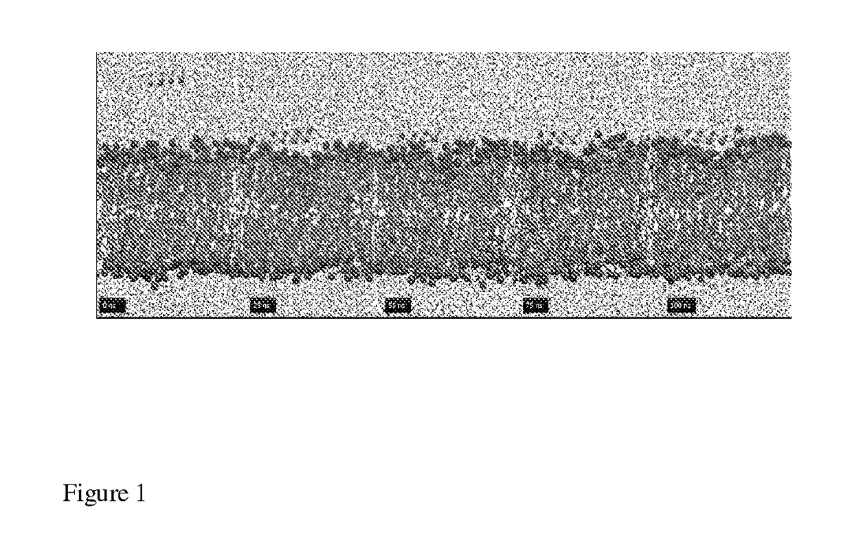 Novel Synthetic Antimicrobial Peptides