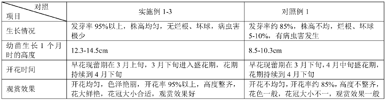 Method for culturing Tulipa gesneriana L.