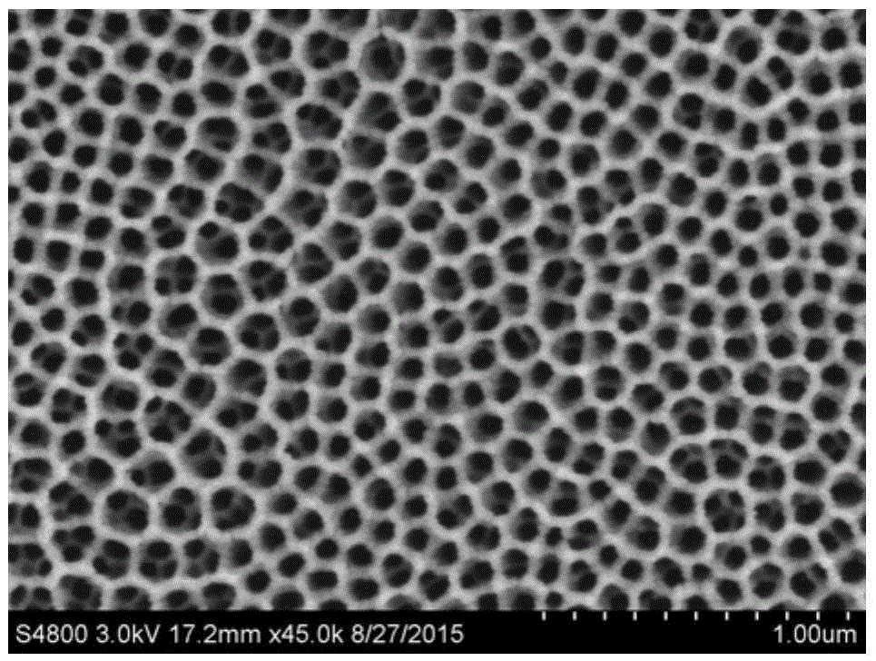 Preparation method for titanium dioxide nanotube array decorated with cobalt and nickel double-layer hydroxide and application of photoelectron-chemistry hydrolysis hydrogen production