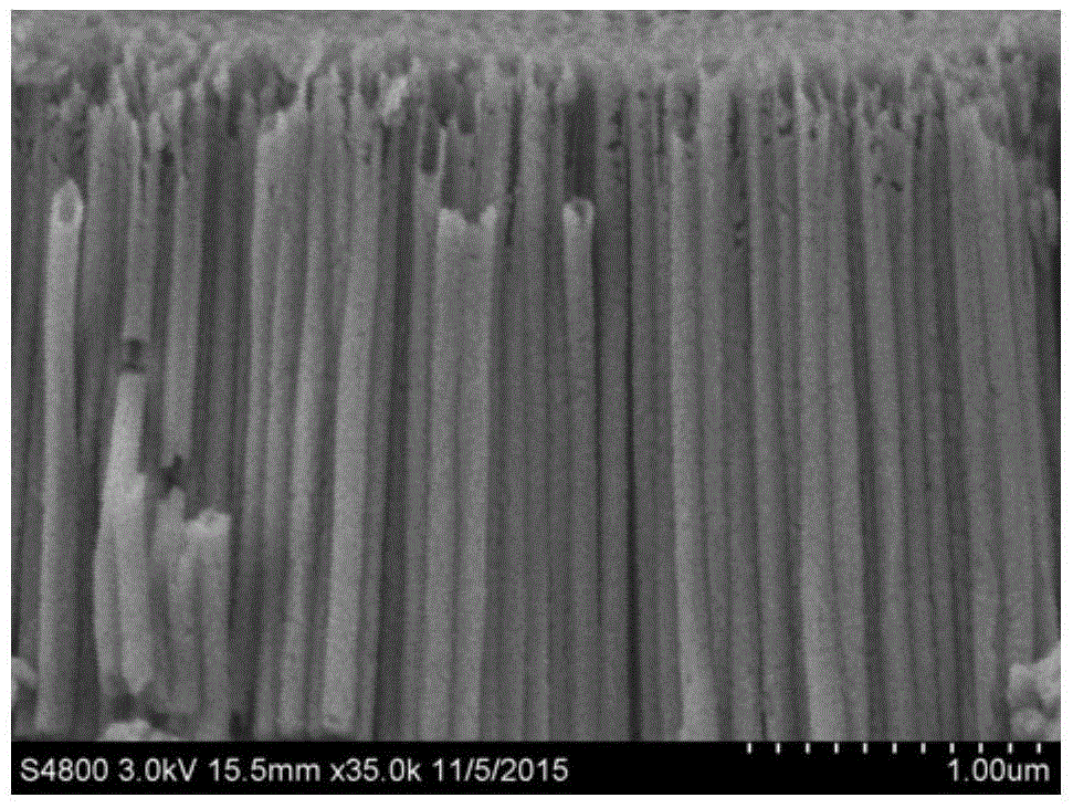 Preparation method for titanium dioxide nanotube array decorated with cobalt and nickel double-layer hydroxide and application of photoelectron-chemistry hydrolysis hydrogen production