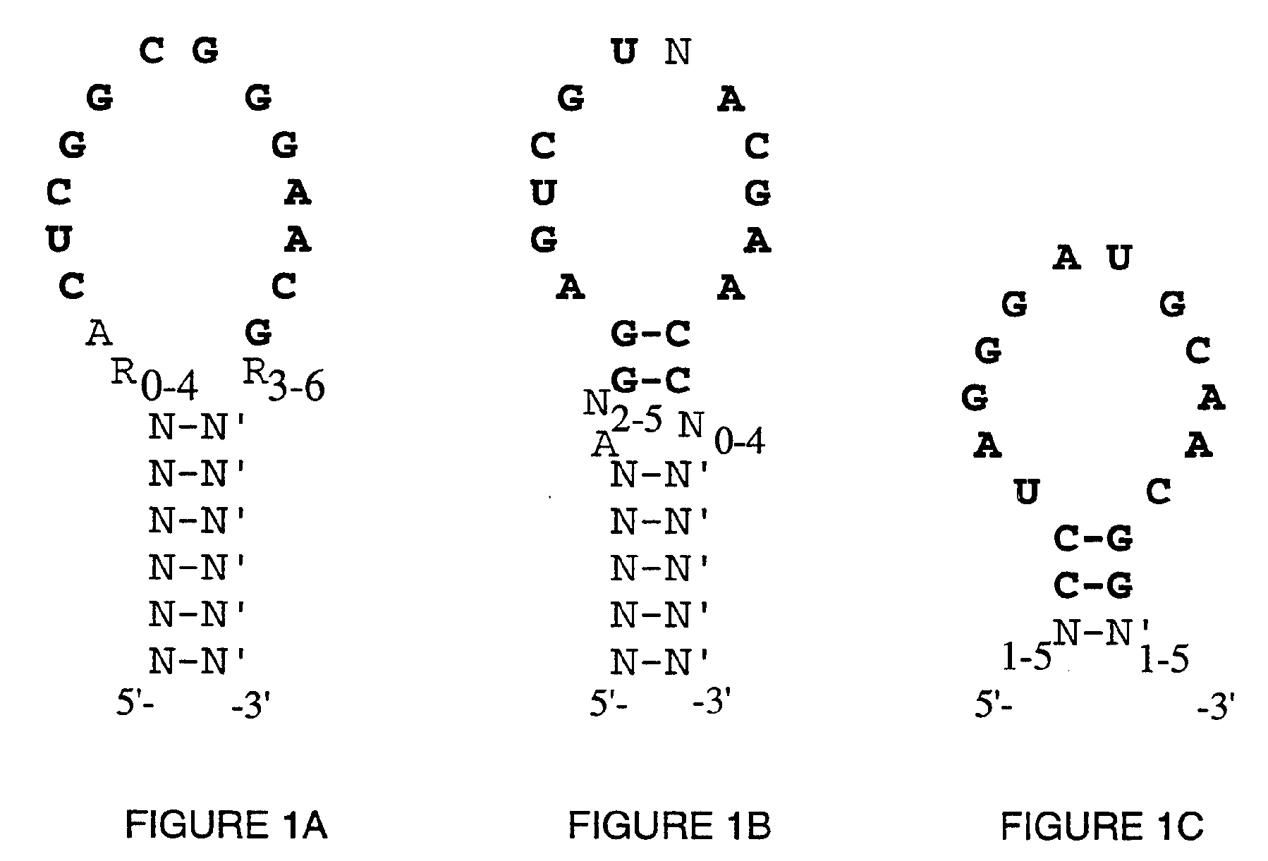 High Affinity Nucleic Acid Ligands To Lectins