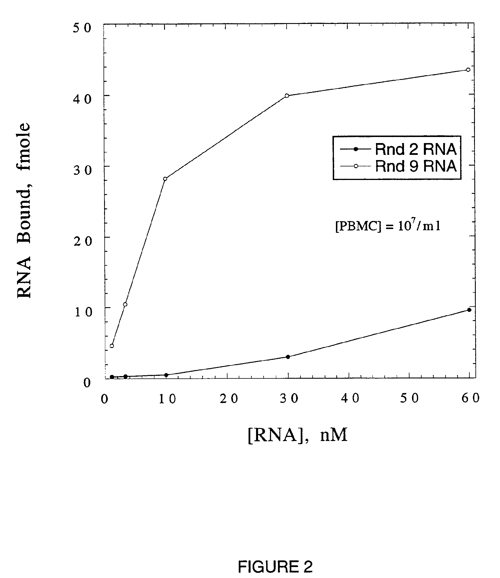 High Affinity Nucleic Acid Ligands To Lectins