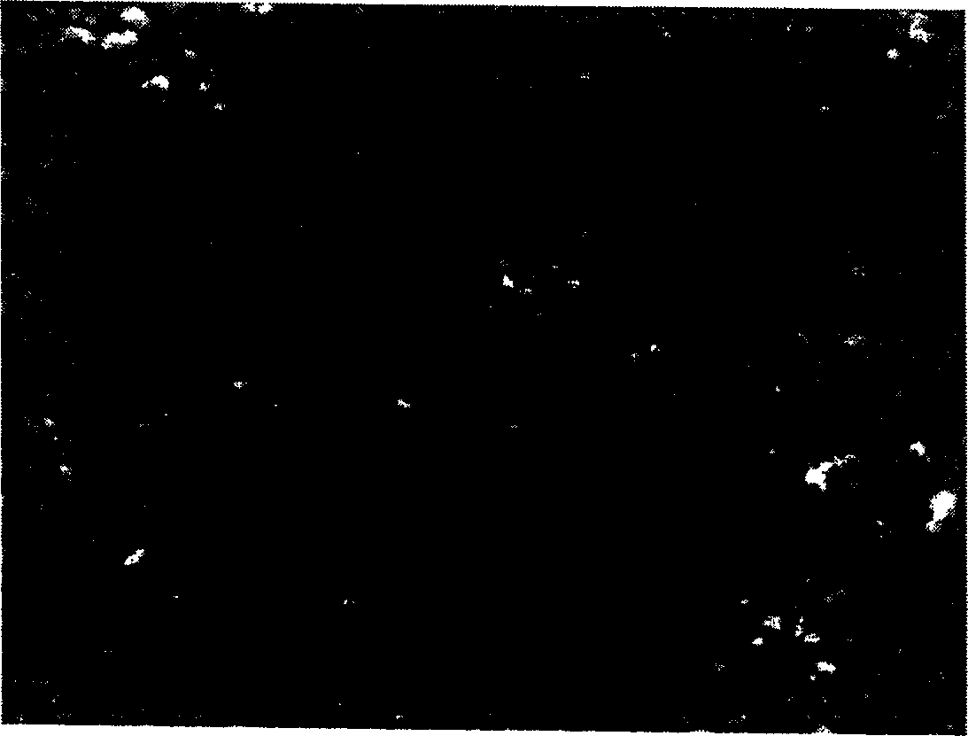 Preparation method for compacting scandium containing dispenser cathode