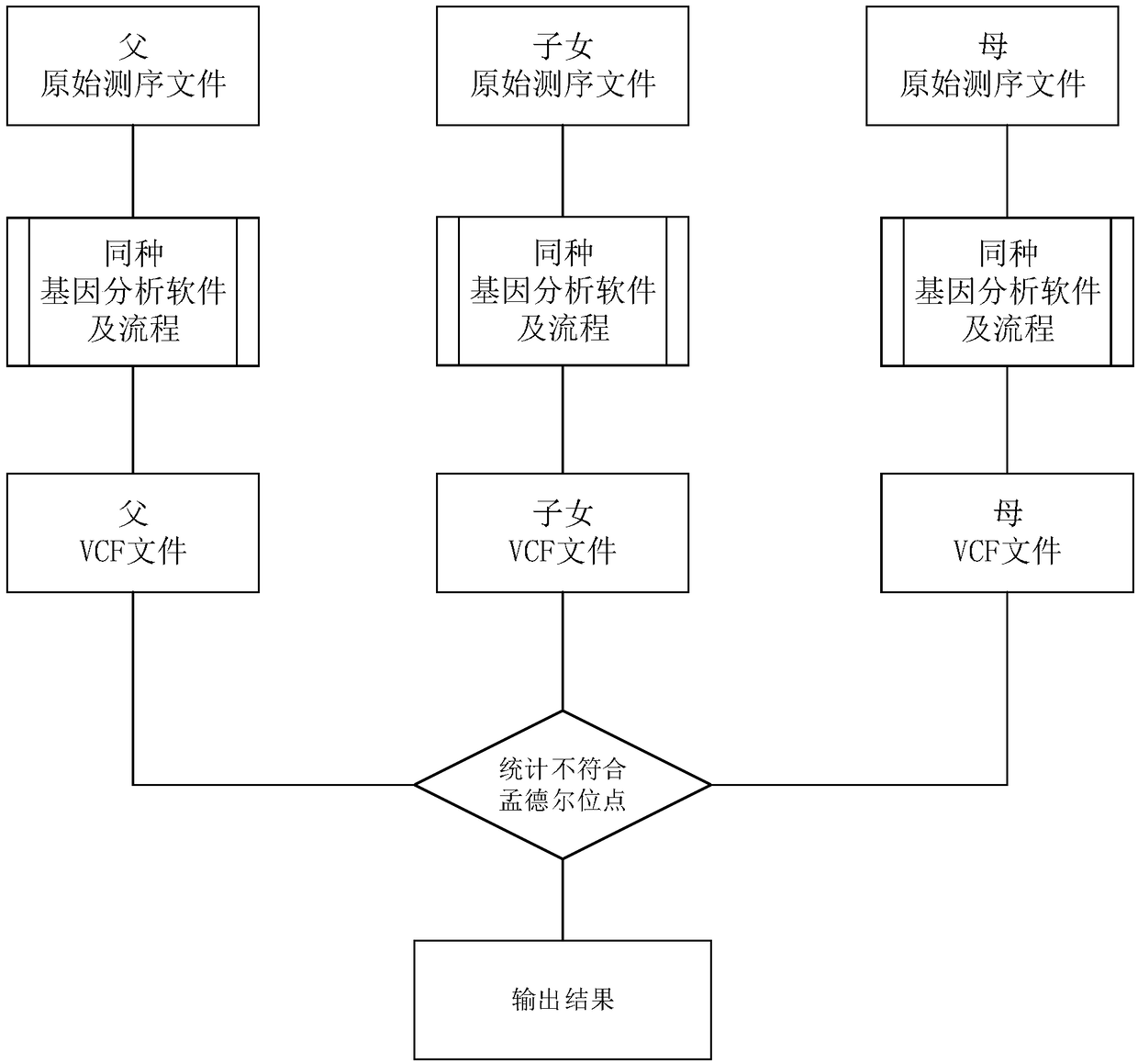 Method for calculating error and error rate of gene mutation detection analysis process