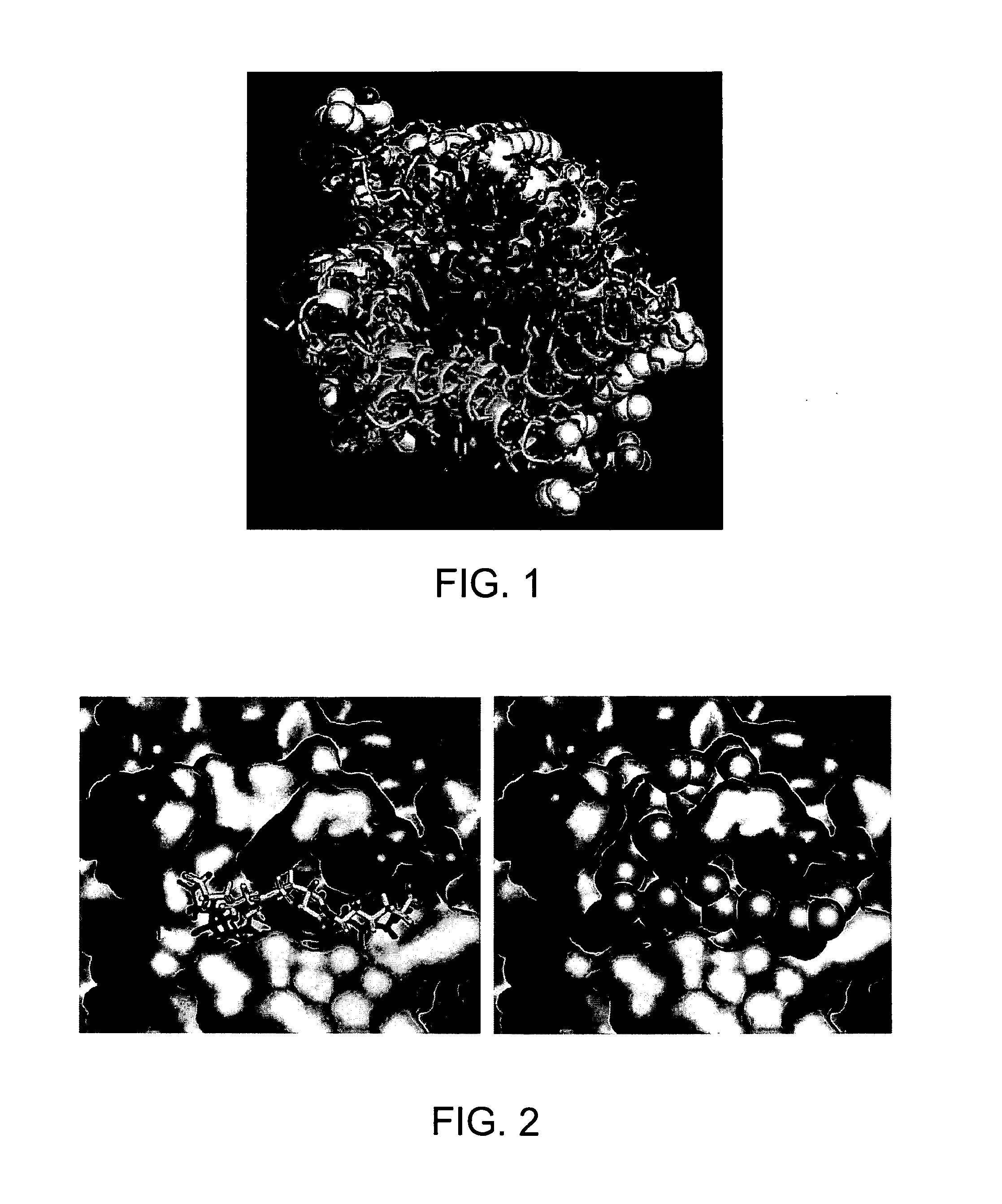 Ant4 inhibitor compounds and methods of use thereof