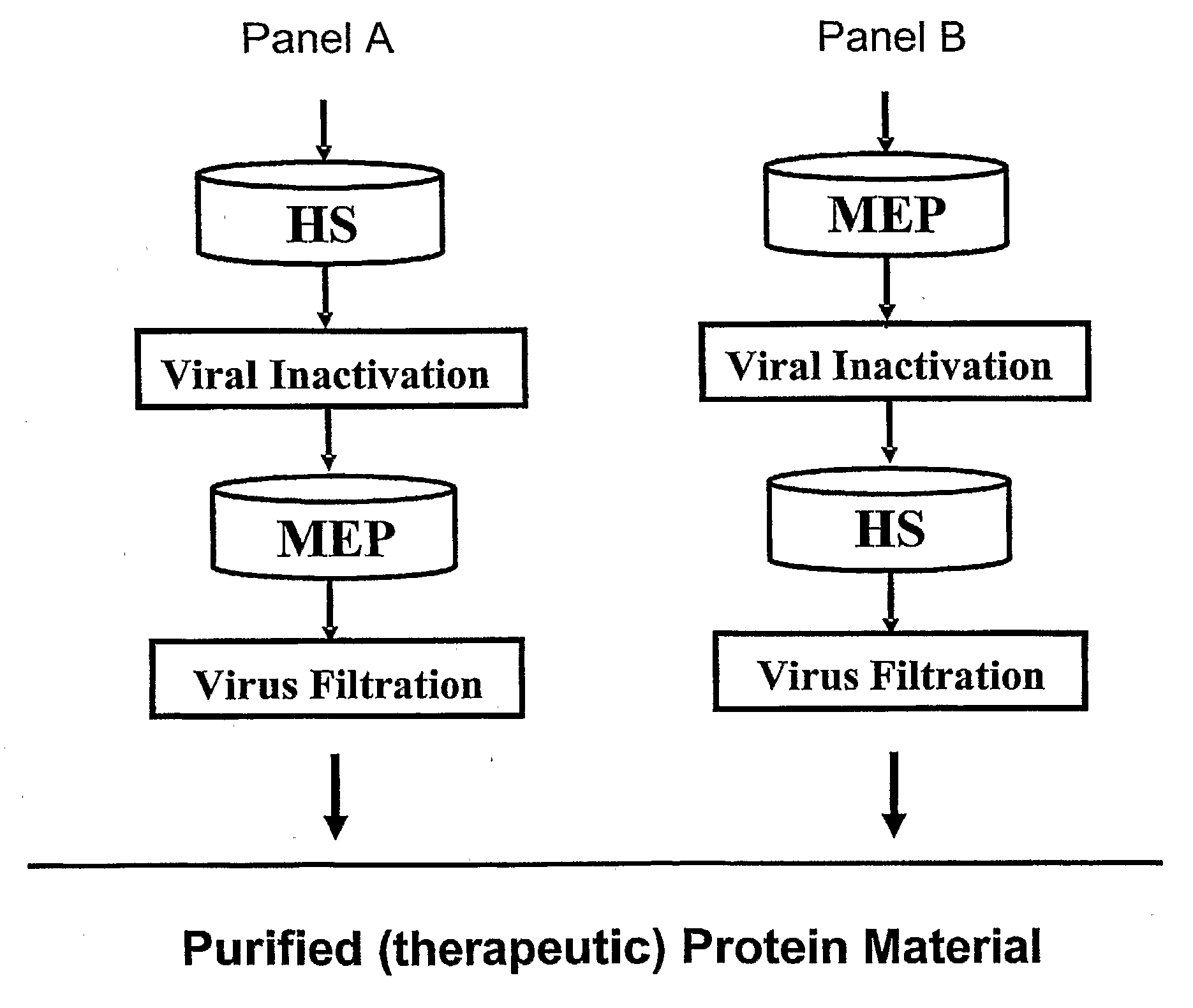 Protein Purification Using HCIC and Ion Exchange Chromatography