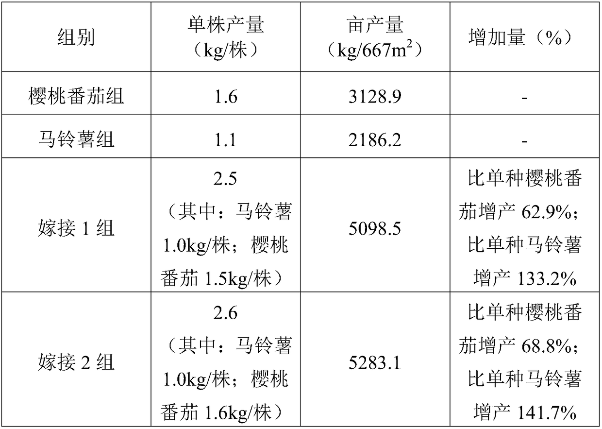 A kind of grafting activator and the method for improving grafting survival rate