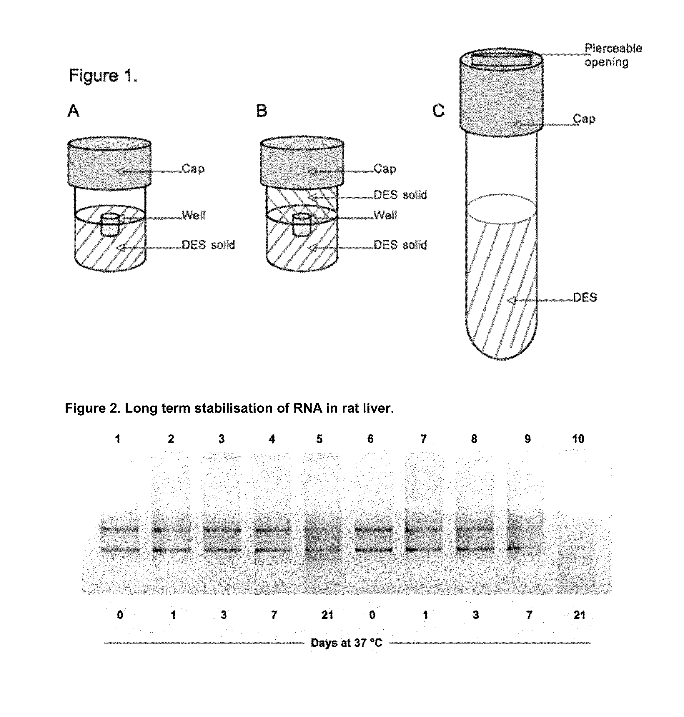 Sample fixation and stabilisation