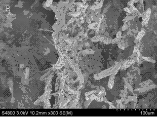 Preparation method based on amphoteric cellulose composite material