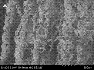 Preparation method based on amphoteric cellulose composite material