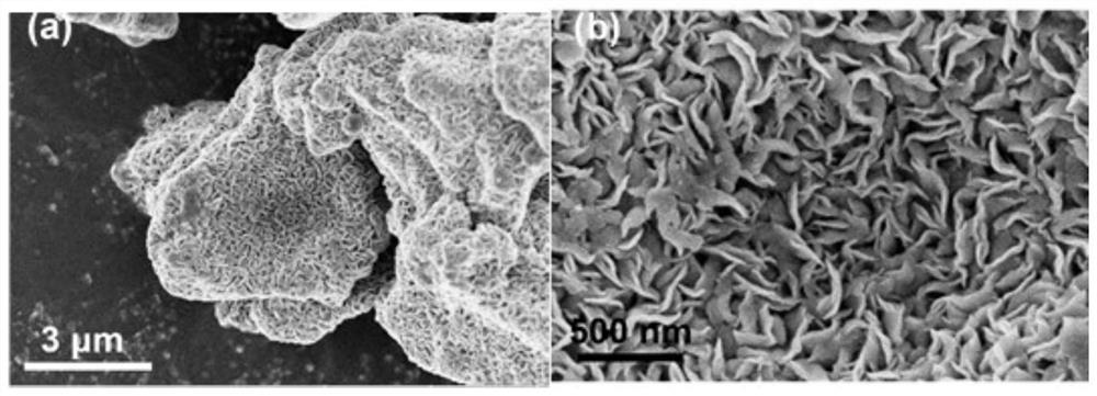 Tremella-like MoS2/functionalized activated carbon sodium-ion battery negative electrode material and preparation method thereof