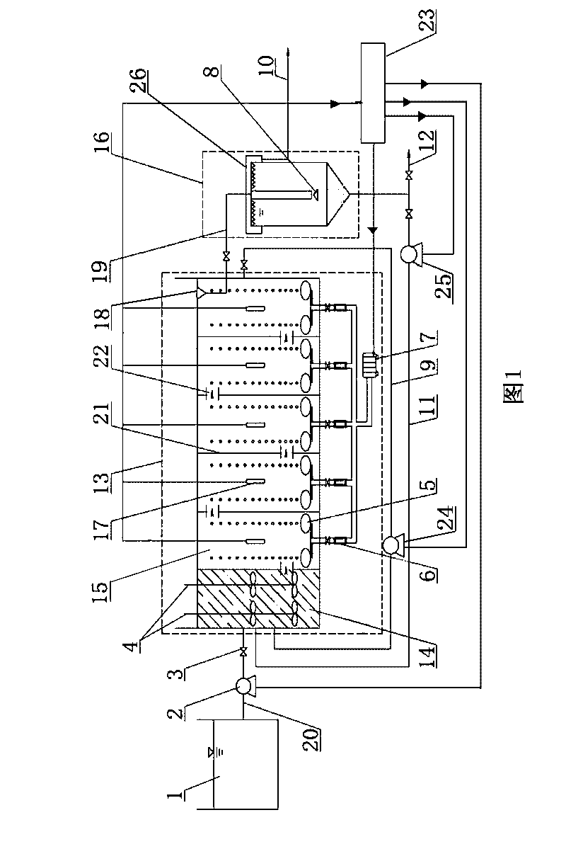 Apparatus for stably maintaining sludge micro-bulking for saving energy in biological denitrification technology and method thereof