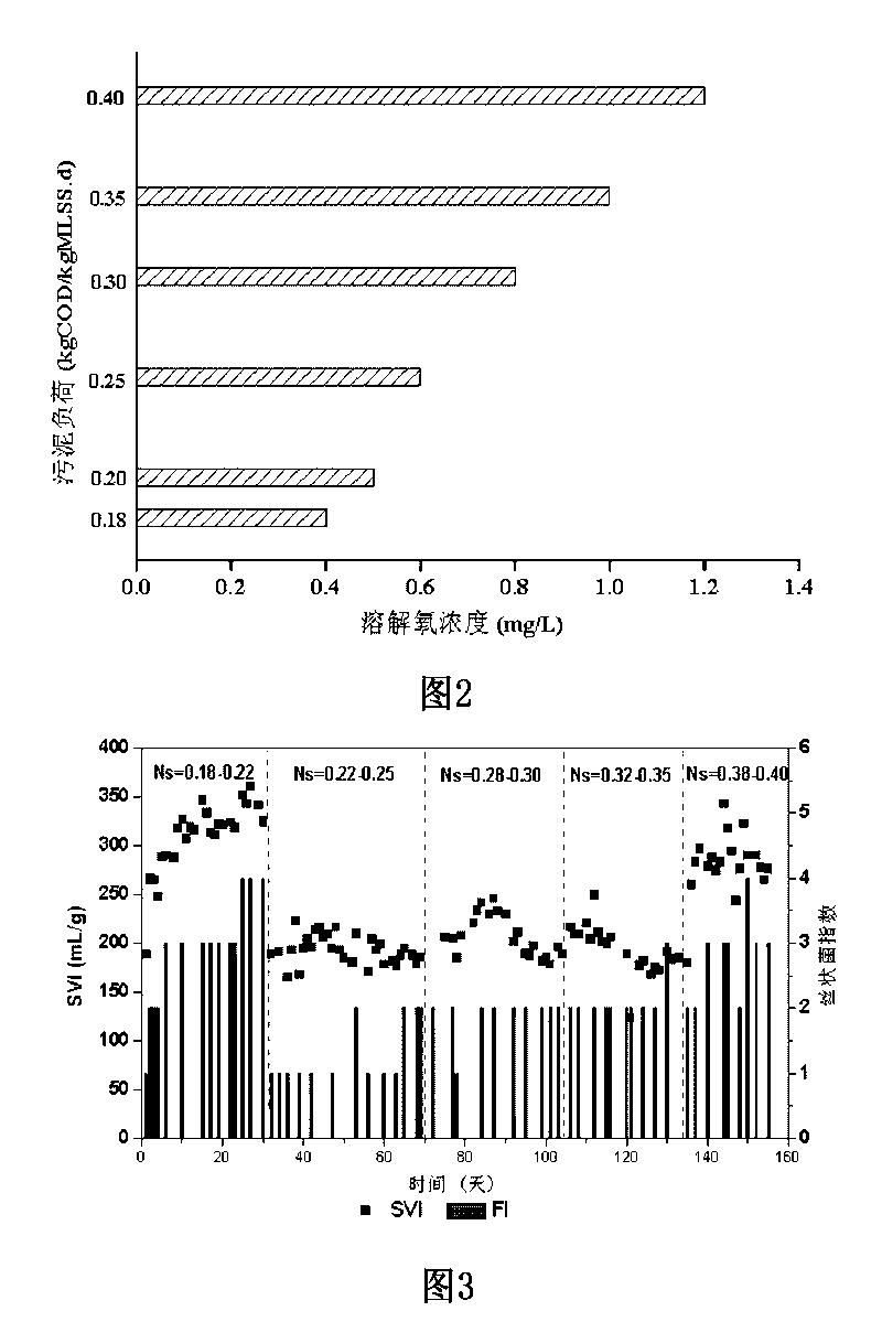 Apparatus for stably maintaining sludge micro-bulking for saving energy in biological denitrification technology and method thereof