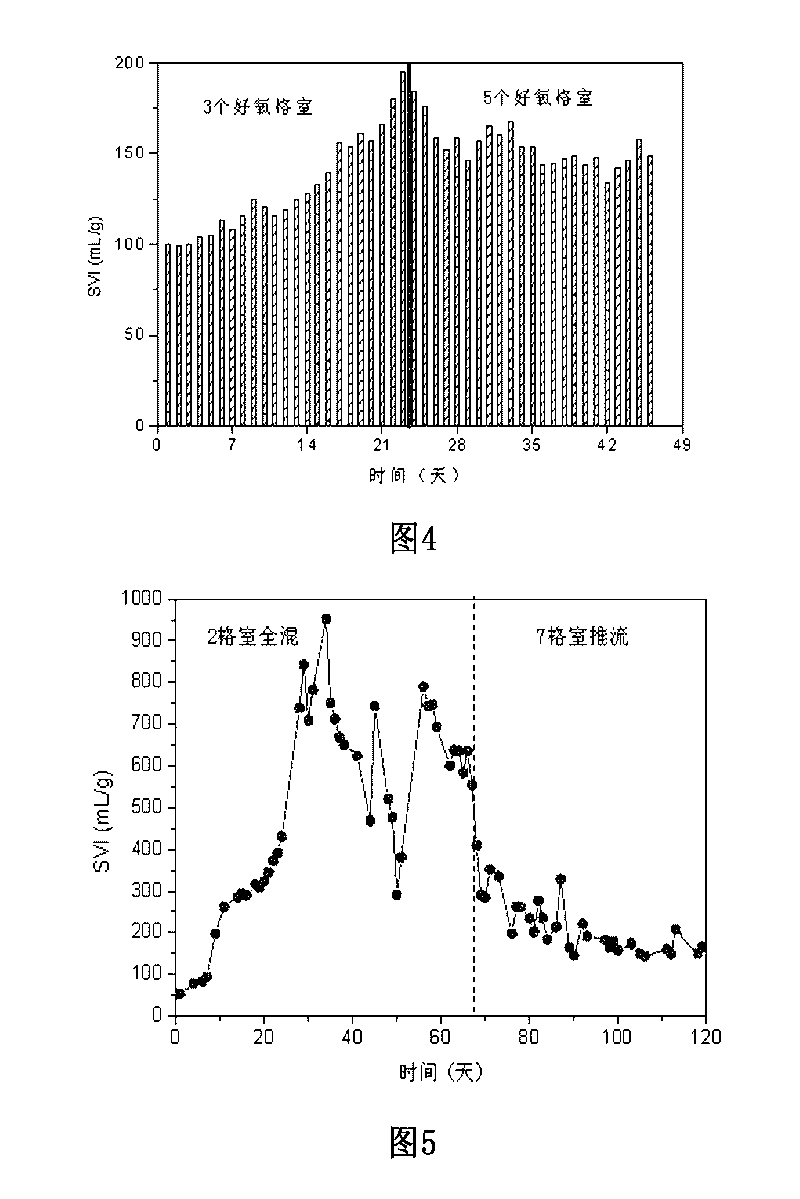 Apparatus for stably maintaining sludge micro-bulking for saving energy in biological denitrification technology and method thereof