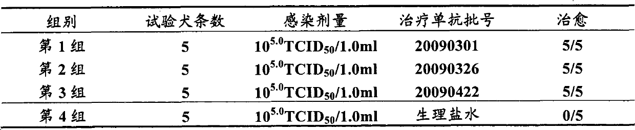 Method for producing curative canine parvovirus virus monoclonal antibody by using bioreactor