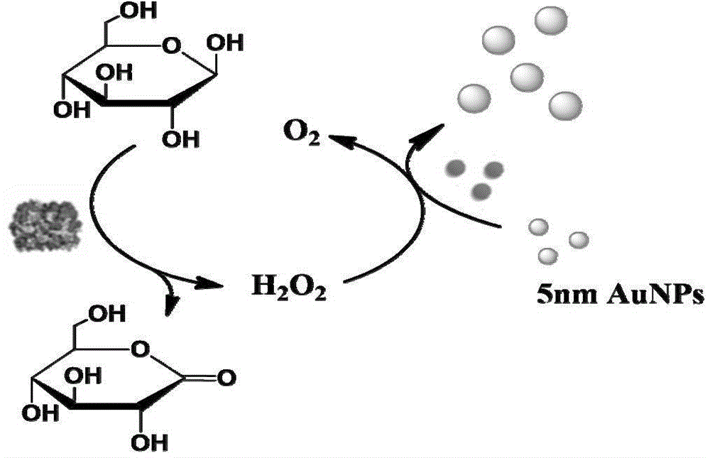 Gold nanoparticle growth based method for detection of glucose