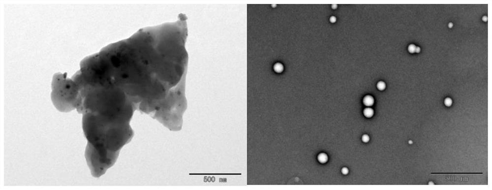 Preparation method and application of hyaluronic acid-small molecule self-assembled nano-drug