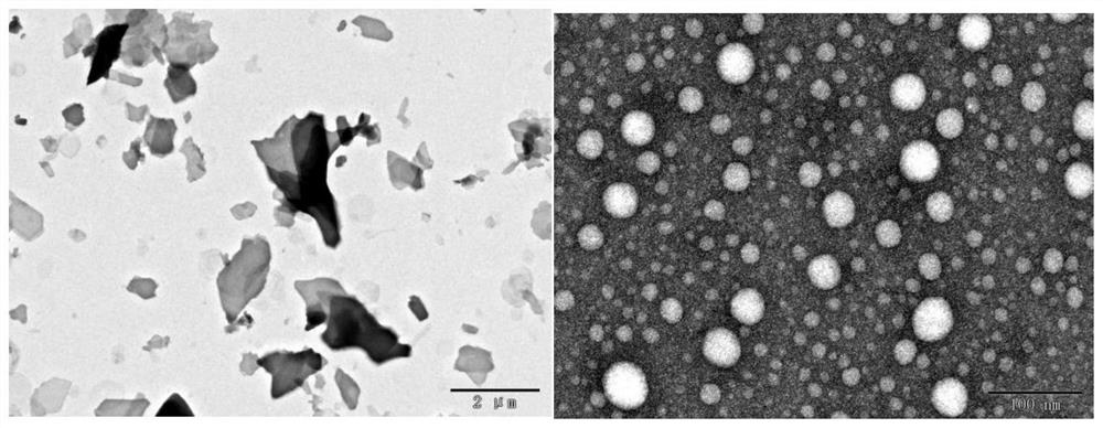 Preparation method and application of hyaluronic acid-small molecule self-assembled nano-drug