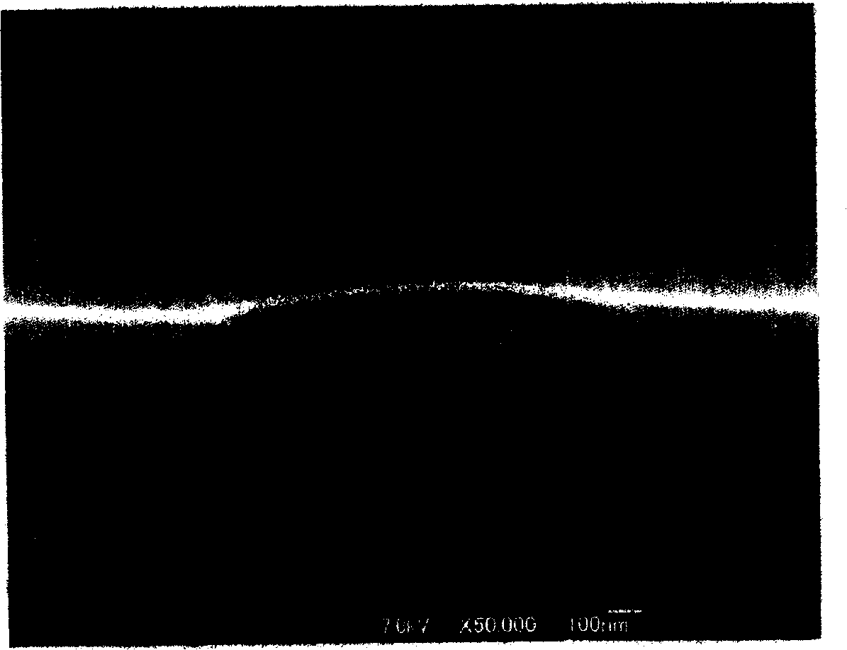 Electromagnetic noise suppressor, article with electromagnetic noise suppression function, and their manufacturing methods