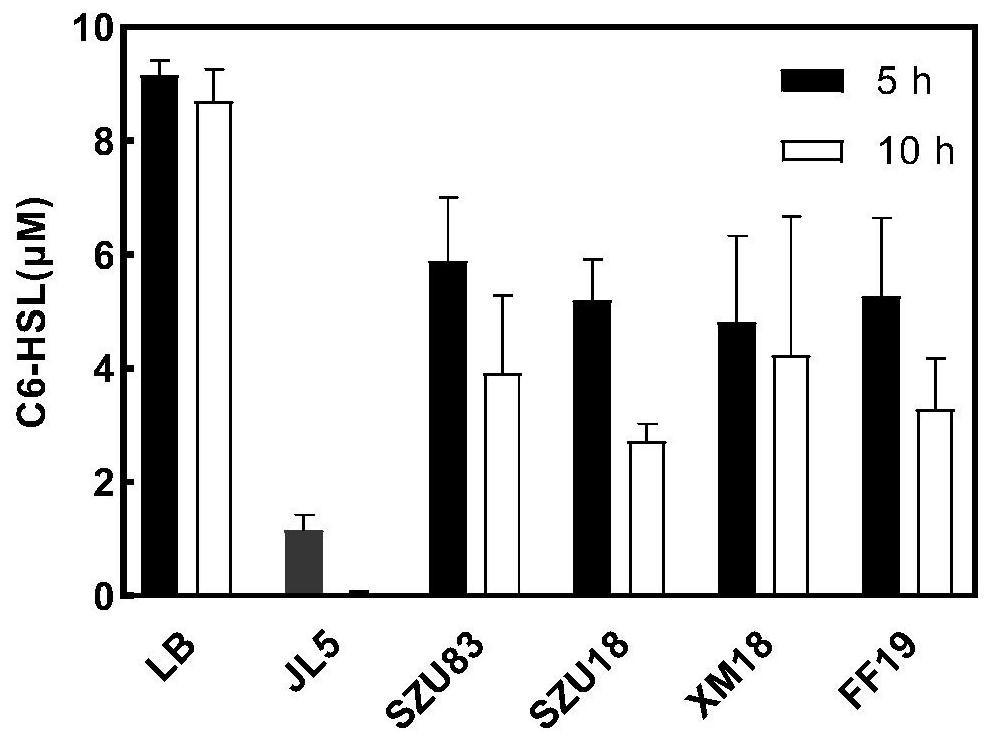 Delftia sp. for regulating quorum sensing quenching as well as separation method and application of Delftia sp.