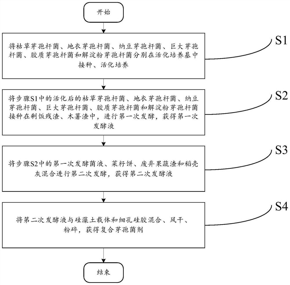 Composite bacillus agent as well as preparation method and application thereof