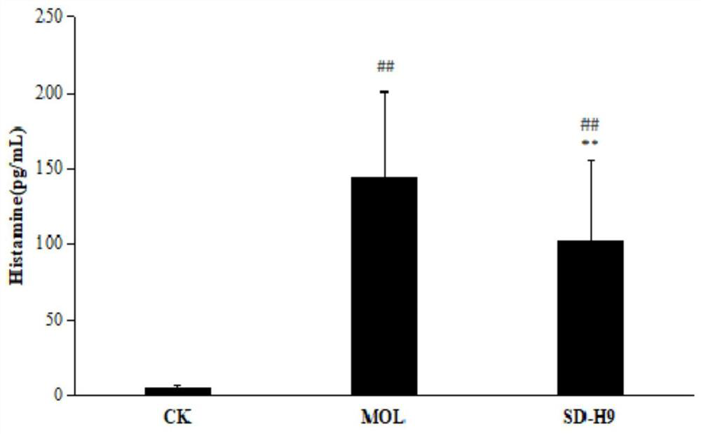 Lactobacillus plantarum sd-h9, its probiotics and its application