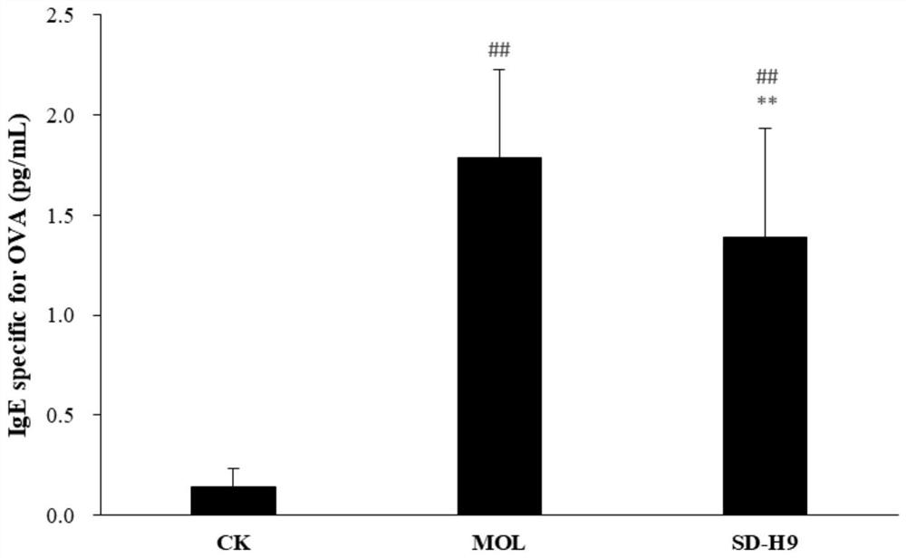 Lactobacillus plantarum sd-h9, its probiotics and its application