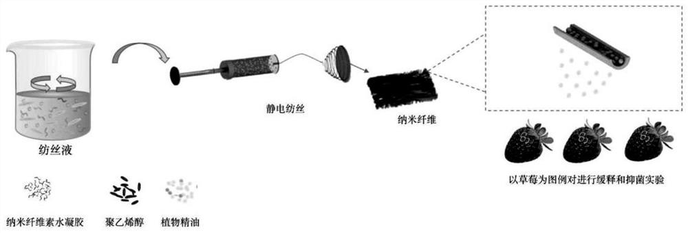 Slow-release antibacterial electrostatic spinning nanofiber and preparation method thereof