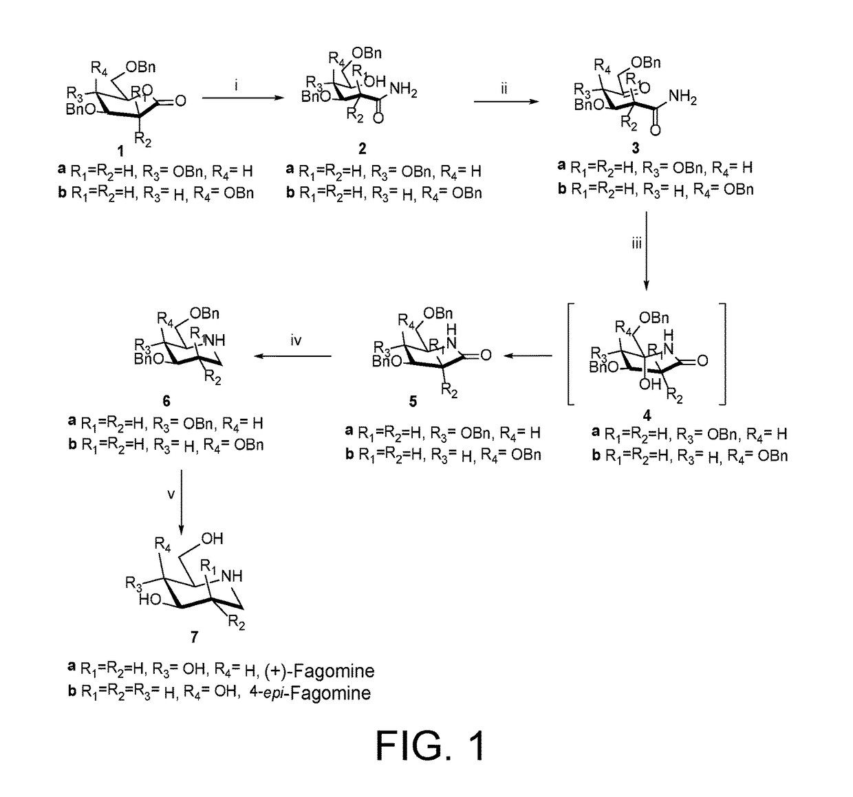 Process for synthesis of piperidine alkaloids