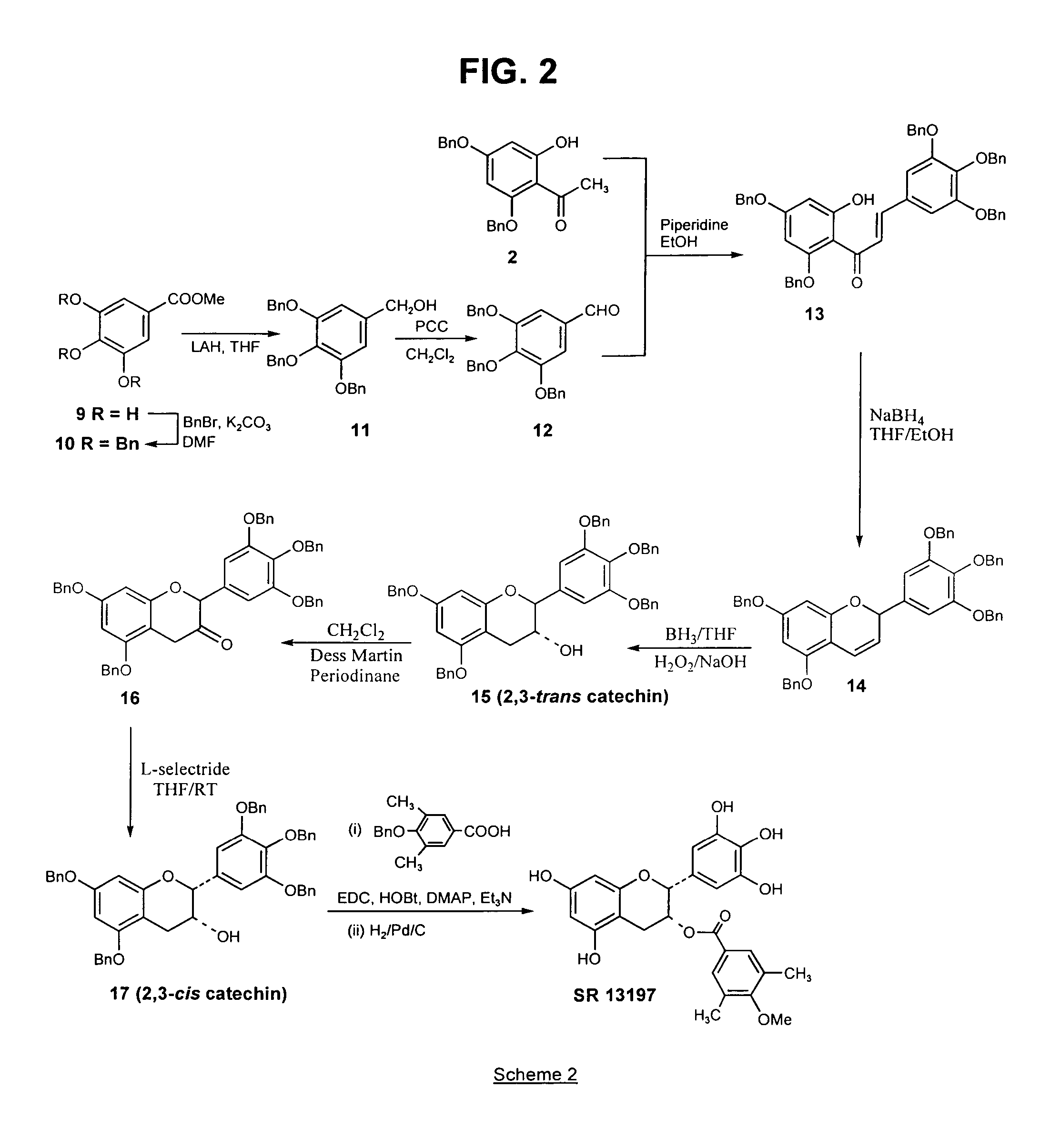 Analogs of green tea polyphenols as chemotherapeutic and chemopreventive agents