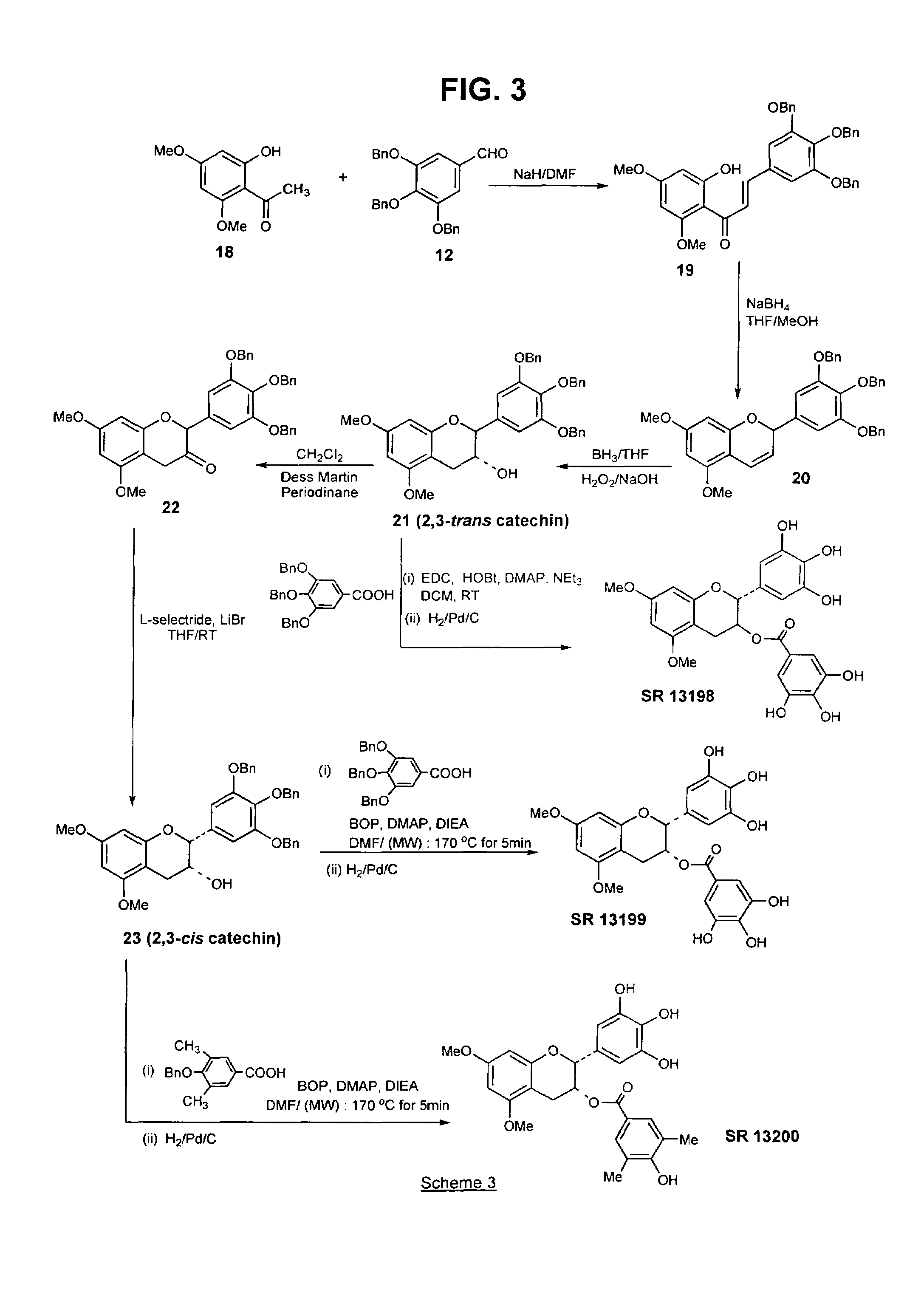 Analogs of green tea polyphenols as chemotherapeutic and chemopreventive agents