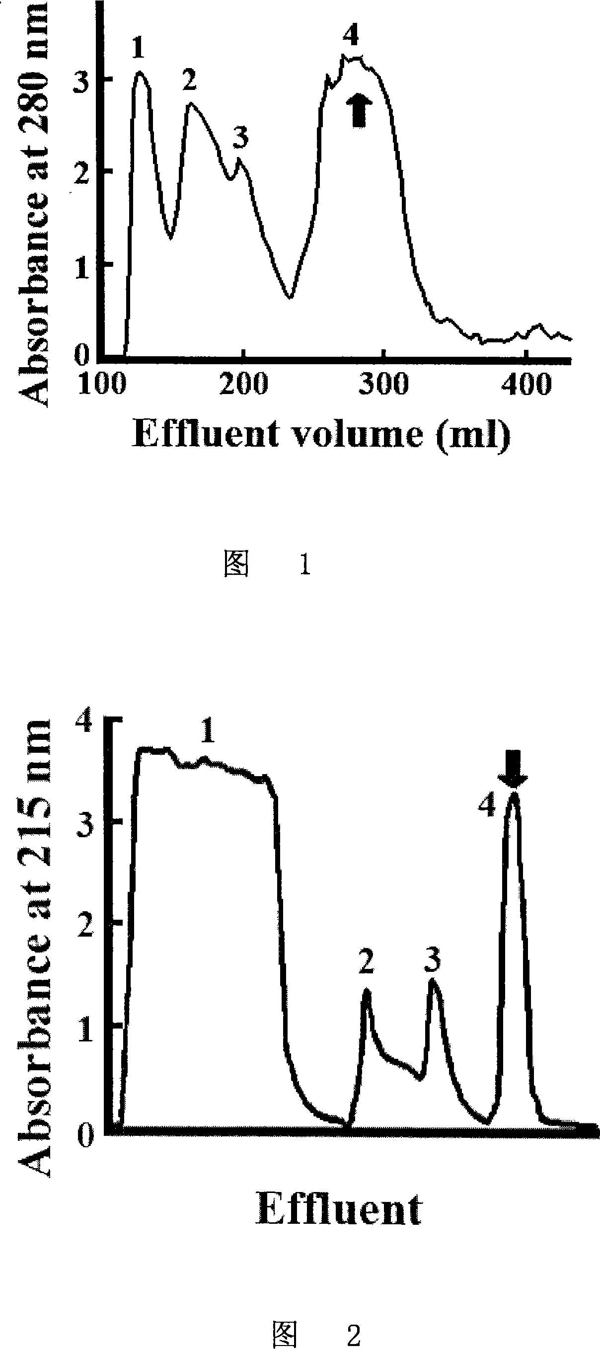 Application of king cobra toxin protease inhibitor and its derivatives