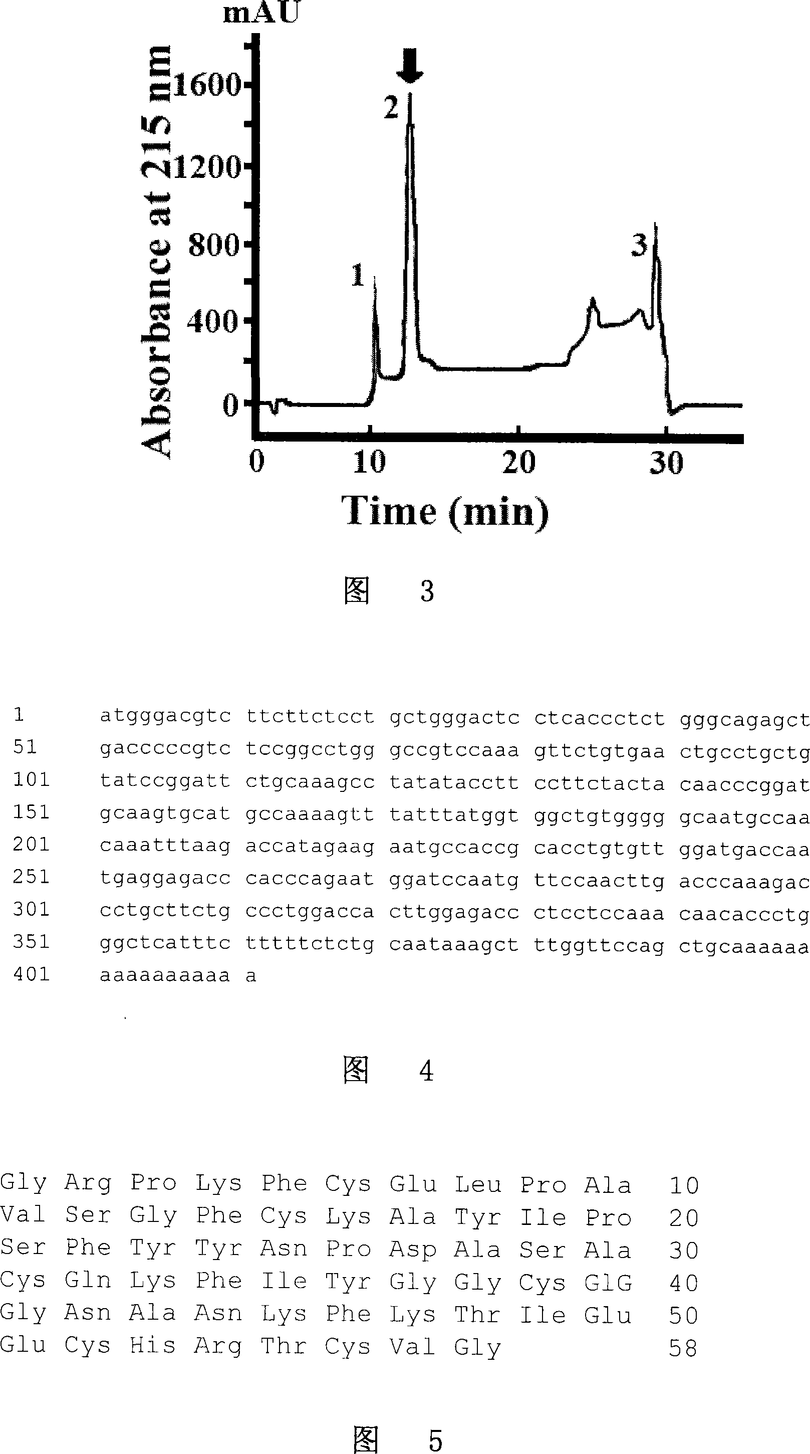 Application of king cobra toxin protease inhibitor and its derivatives