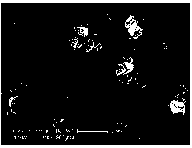 La-Zn co-doping permanent magnetic strontium ferrite material powder and preparation method thereof