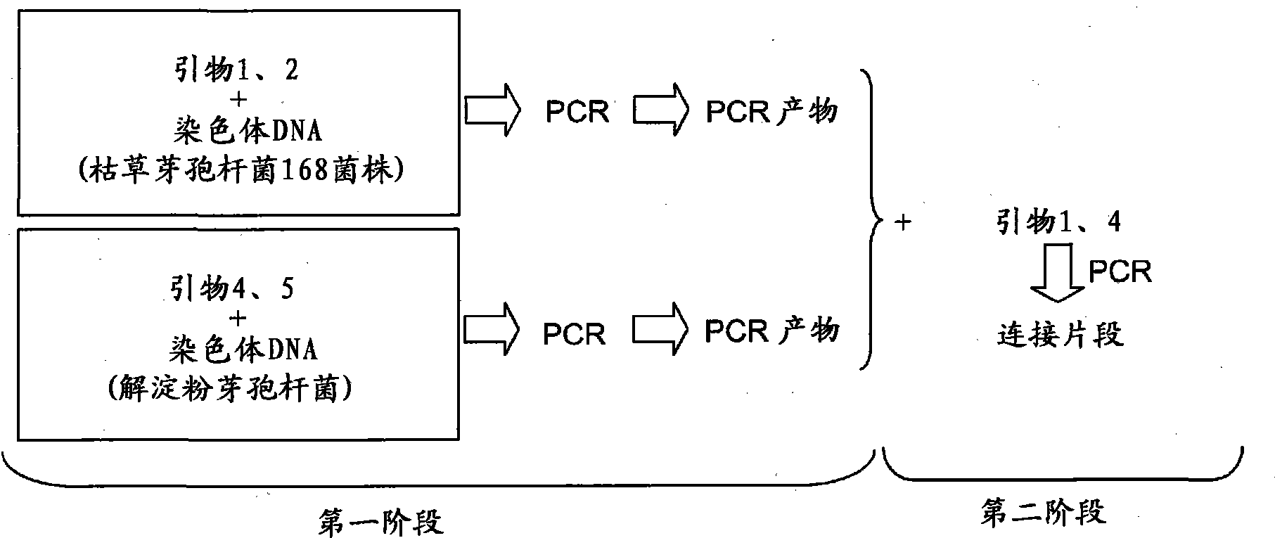 Recombinant expression plasmid vector and recombinant strain to be used in producing oxalate decarboxylase, and method of producing recombinant oxalate decarboxylase