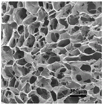 Novel human-like collagen haemostatic dressing