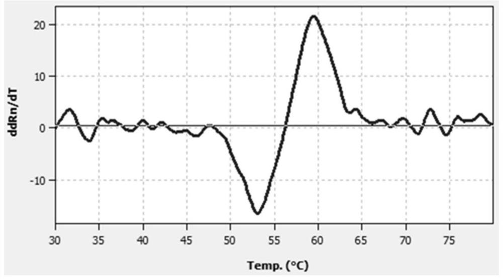 A probe composition for detecting drug-induced deafness gene and its application