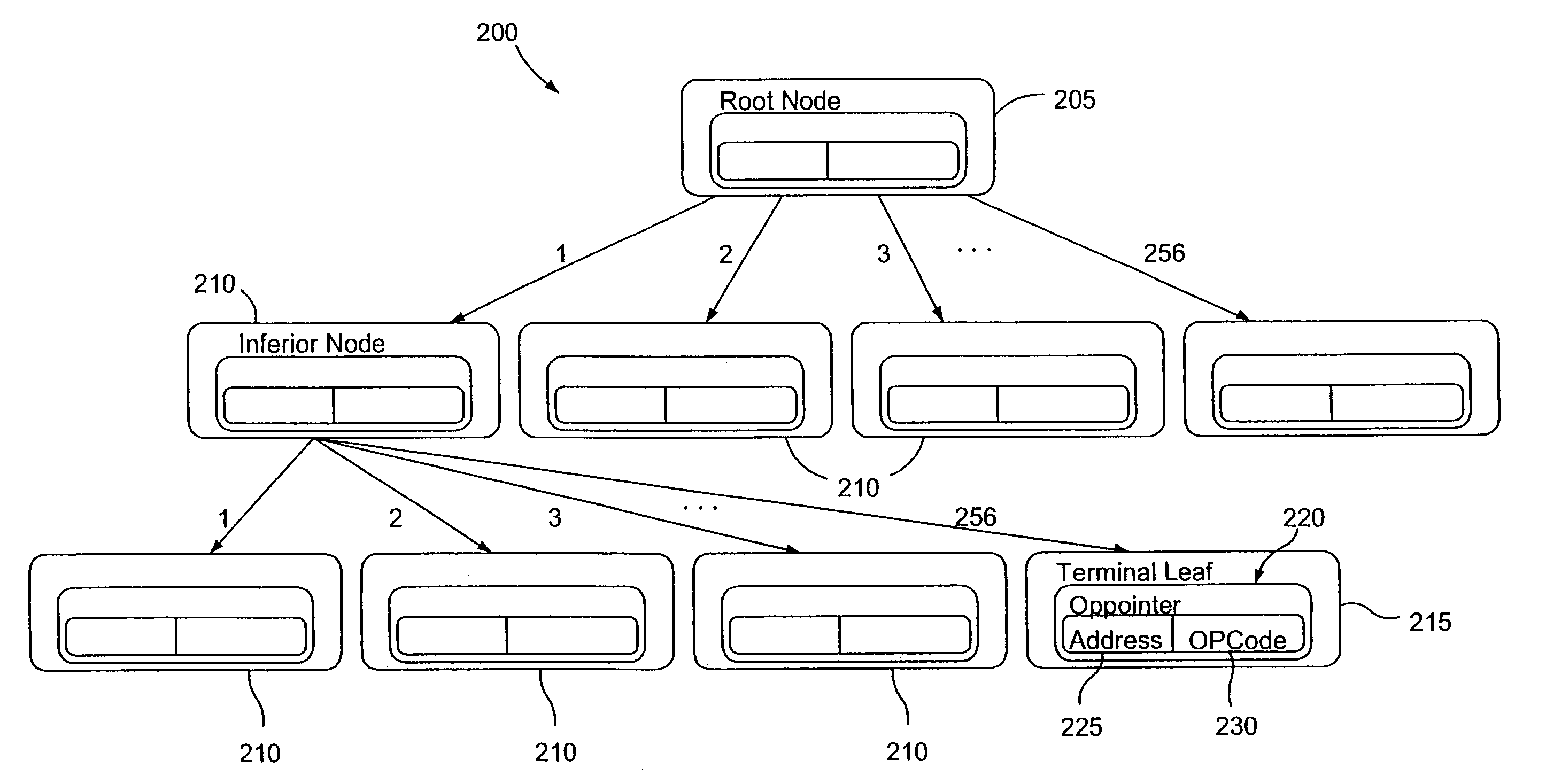 M-trie based packet processing