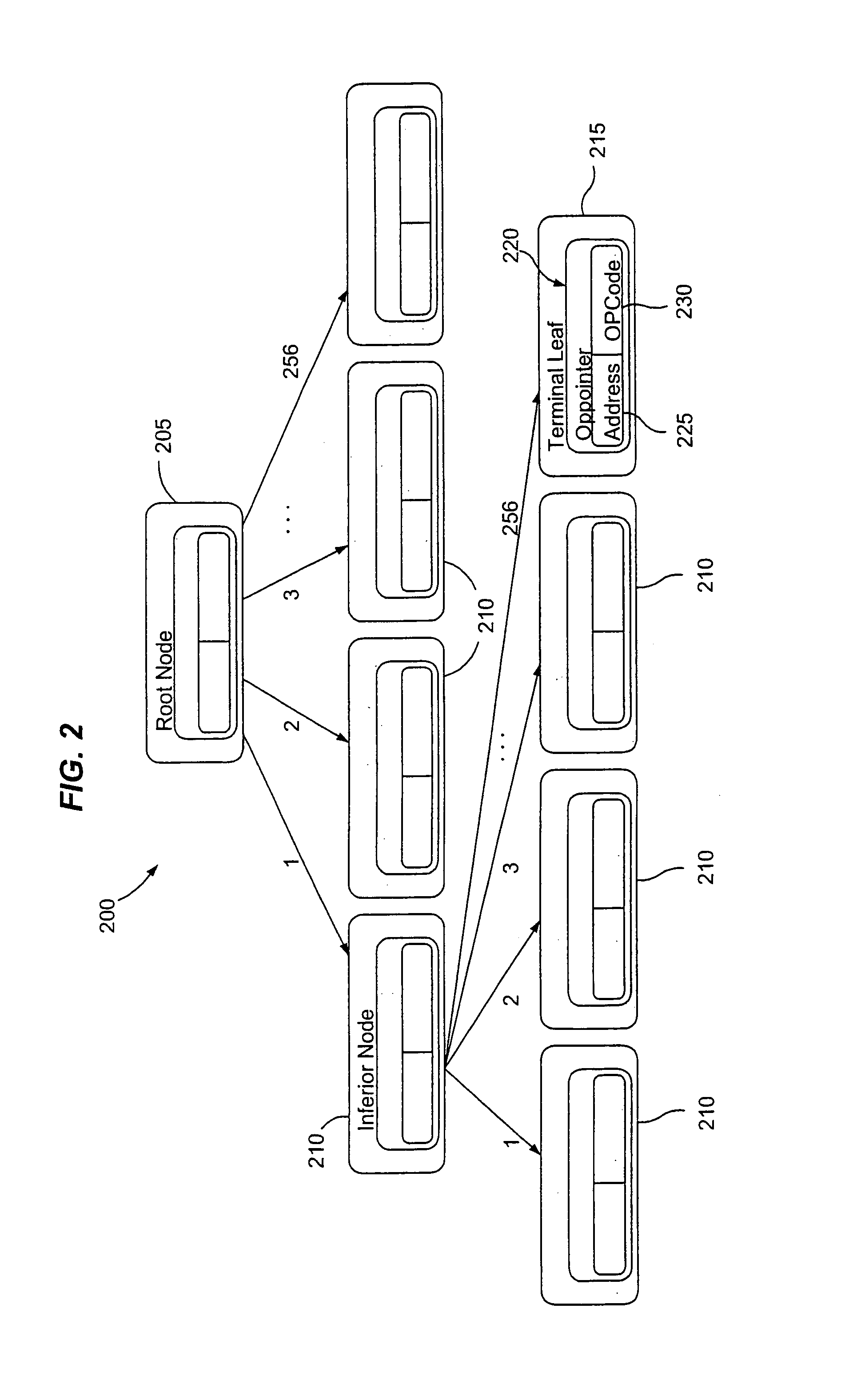 M-trie based packet processing