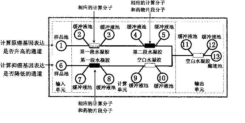 Genetic therapy breast cancer drug preparation method based on microfluidic chip