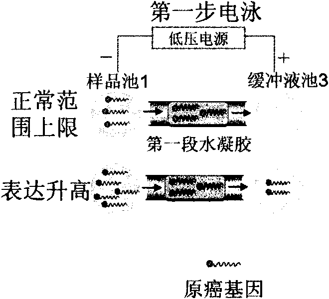 Genetic therapy breast cancer drug preparation method based on microfluidic chip